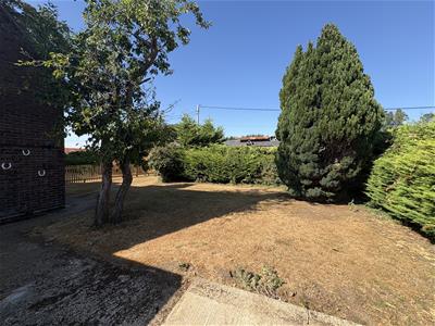 Picture 12